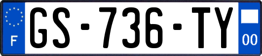 GS-736-TY