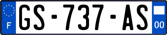 GS-737-AS