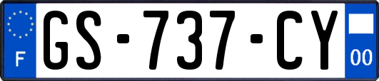 GS-737-CY