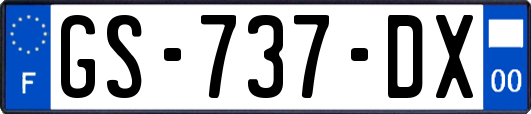 GS-737-DX