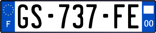 GS-737-FE