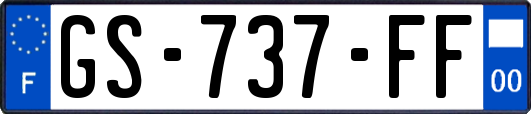 GS-737-FF