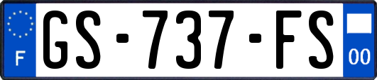 GS-737-FS