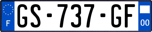 GS-737-GF