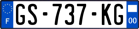 GS-737-KG