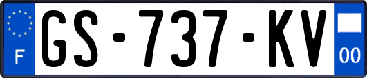 GS-737-KV