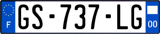 GS-737-LG