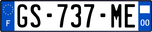GS-737-ME