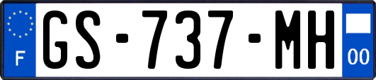 GS-737-MH