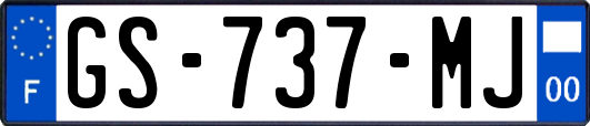 GS-737-MJ