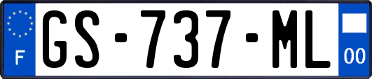 GS-737-ML