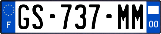 GS-737-MM