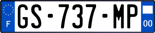 GS-737-MP