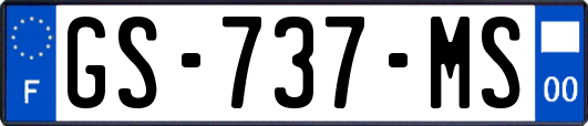 GS-737-MS