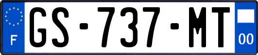 GS-737-MT