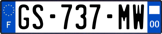 GS-737-MW