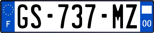 GS-737-MZ