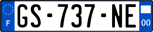 GS-737-NE