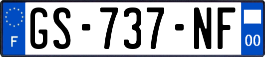 GS-737-NF