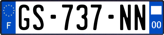 GS-737-NN