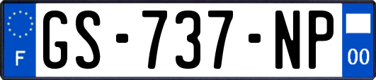 GS-737-NP