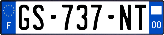 GS-737-NT