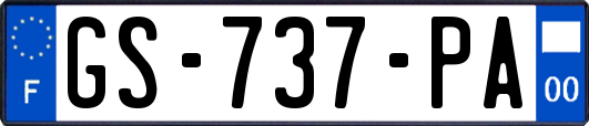 GS-737-PA