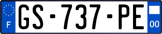 GS-737-PE