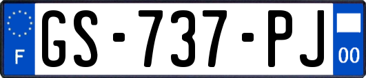 GS-737-PJ