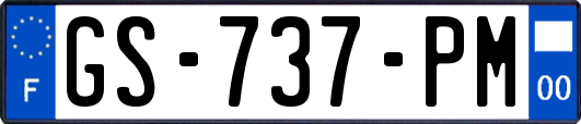 GS-737-PM