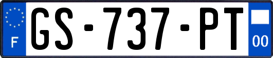 GS-737-PT