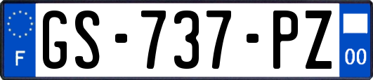 GS-737-PZ