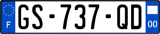 GS-737-QD