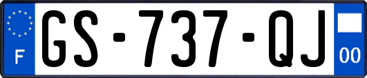GS-737-QJ