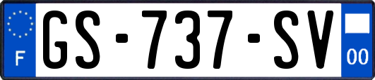GS-737-SV