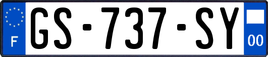 GS-737-SY