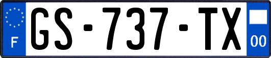 GS-737-TX