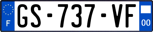 GS-737-VF