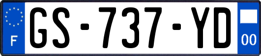 GS-737-YD