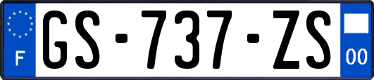 GS-737-ZS