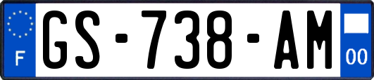 GS-738-AM