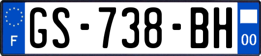 GS-738-BH