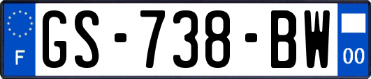 GS-738-BW