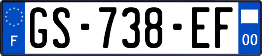 GS-738-EF