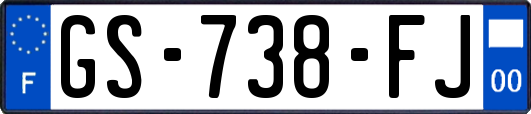 GS-738-FJ
