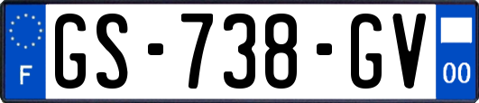 GS-738-GV