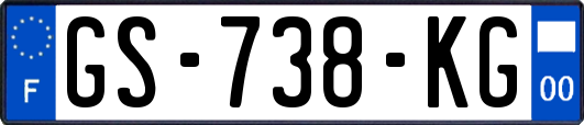 GS-738-KG