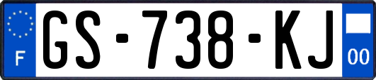 GS-738-KJ