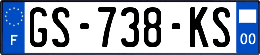 GS-738-KS