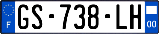 GS-738-LH